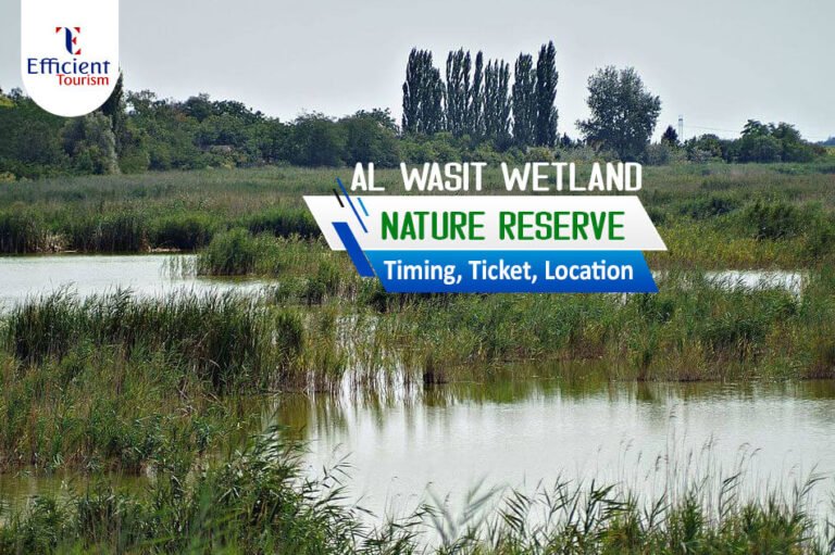 Al Wasit Wetland Nature Reserve: Timings, Tickets & Location