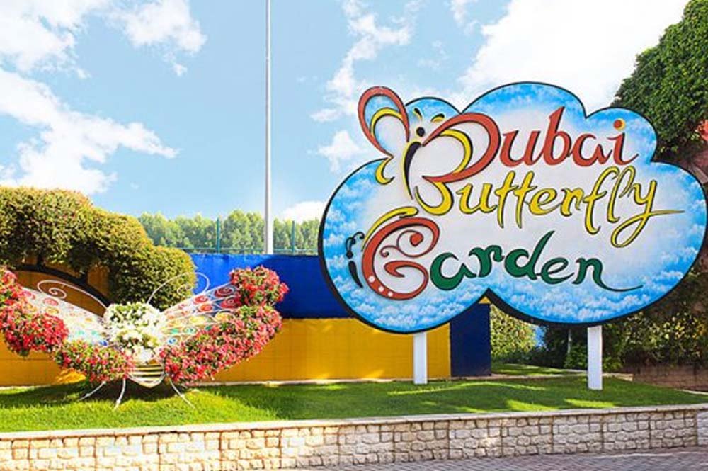 Dubai Butterfly Garden Ticket Best Offers Price for Direct Entry