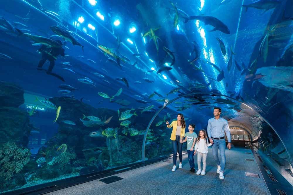 Dubai Aquarium and Underwater Zoo