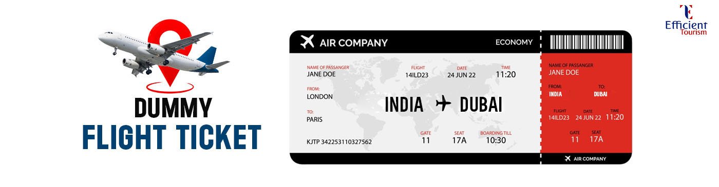 Dummy Flight ticket