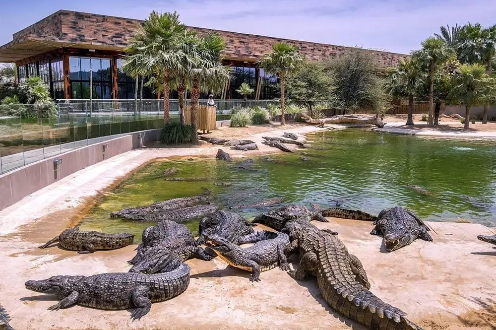 Dubai Crocodile Park Tickets