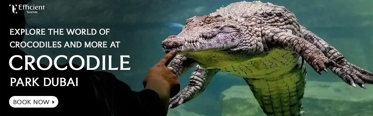Dubai Crocodile Park