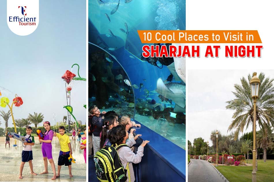 10 best cool places to visit in Sharjah at Night