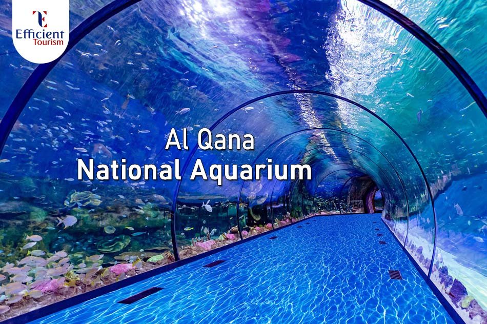 Al Qana National Aquarium
