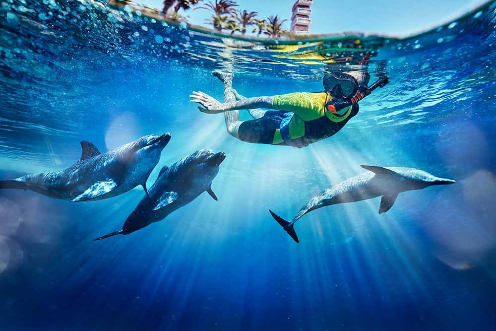 Dolphin Bay Atlantis Ticket