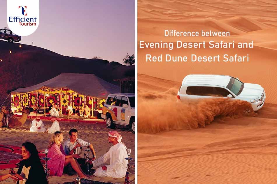 Difference between Evening Desert Safari and Red Dune Desert Safari