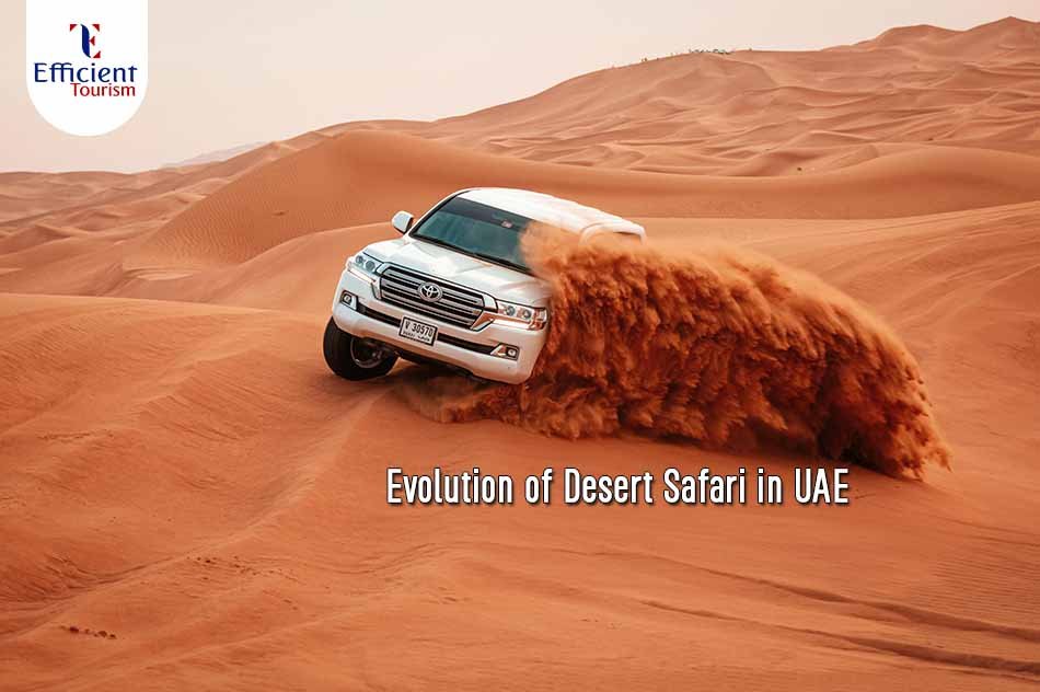 Evolution of desert safari