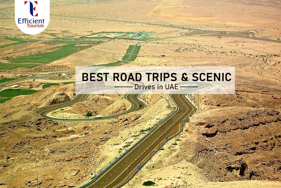 Best Road Trips & Scenic Drives in UAE