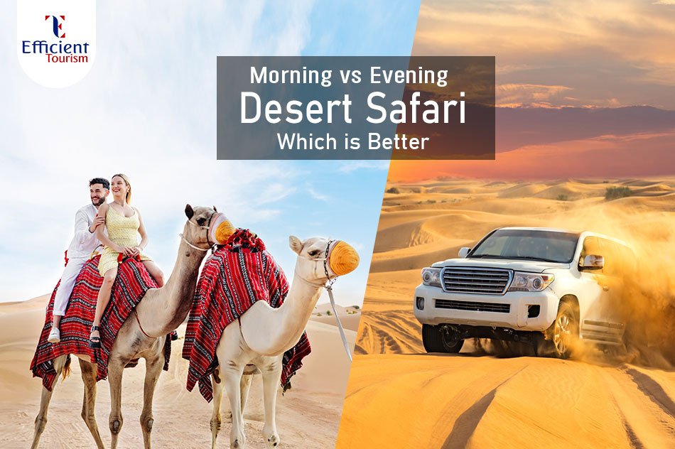 Morning vs Evening Desert Safari