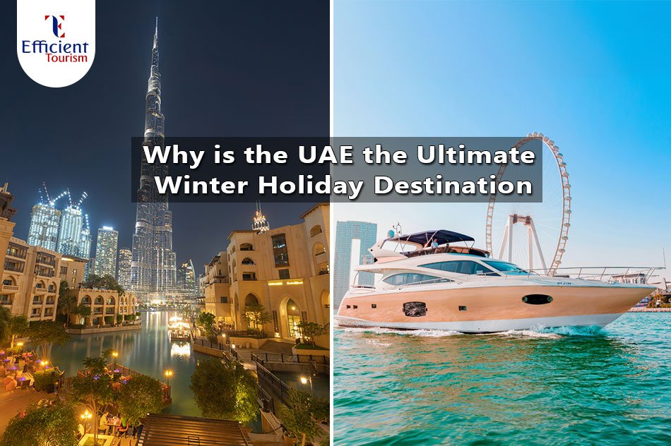 Why is the UAE the Ultimate Winter Holiday Destination