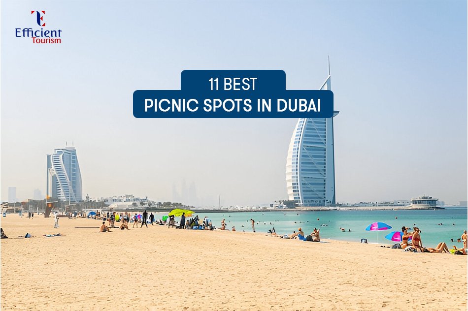 11 Best Picnic Spots in Dubai