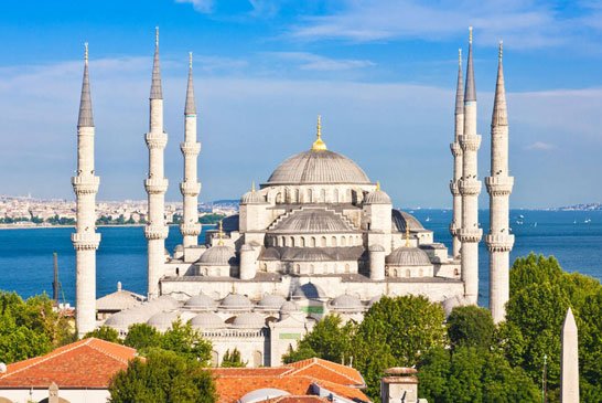 Magical Turkey