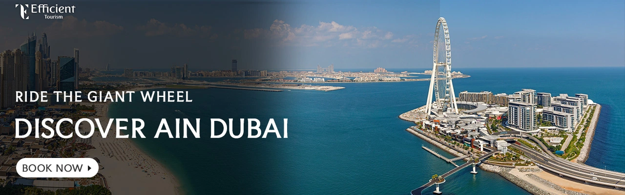 Ain Dubai