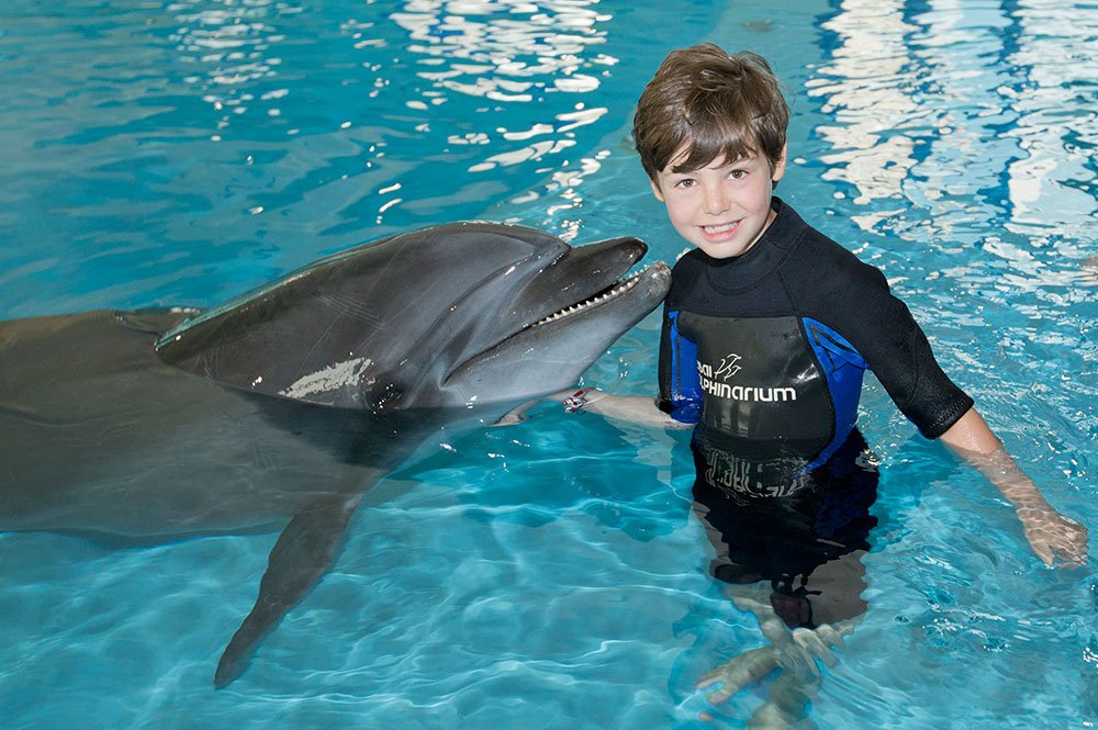 Swim with Dolphins Dubai