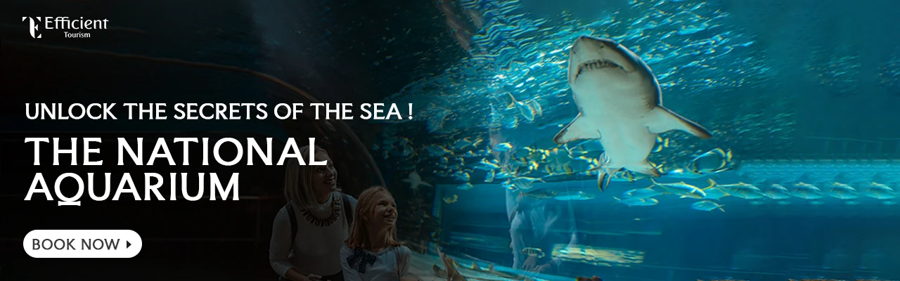 National Aquarium Abu Dhabi Tickets