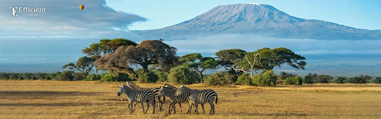 Kenya tour 4 Nights Kenya Tour Package