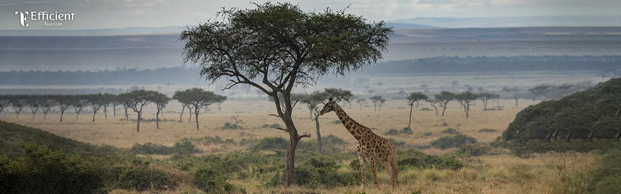 4 Nights Kenya Tour Package