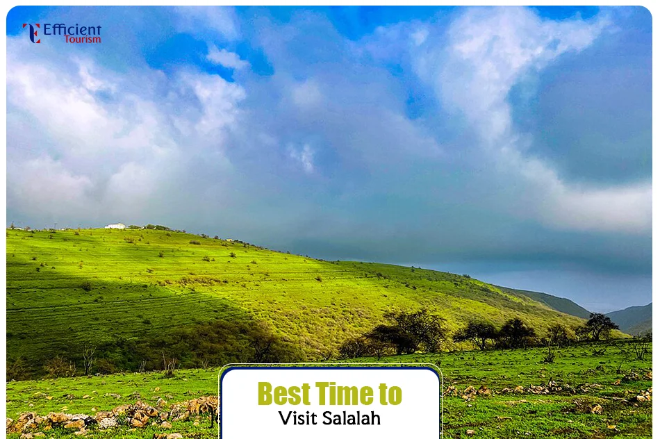 Best Time to Visit Salalah