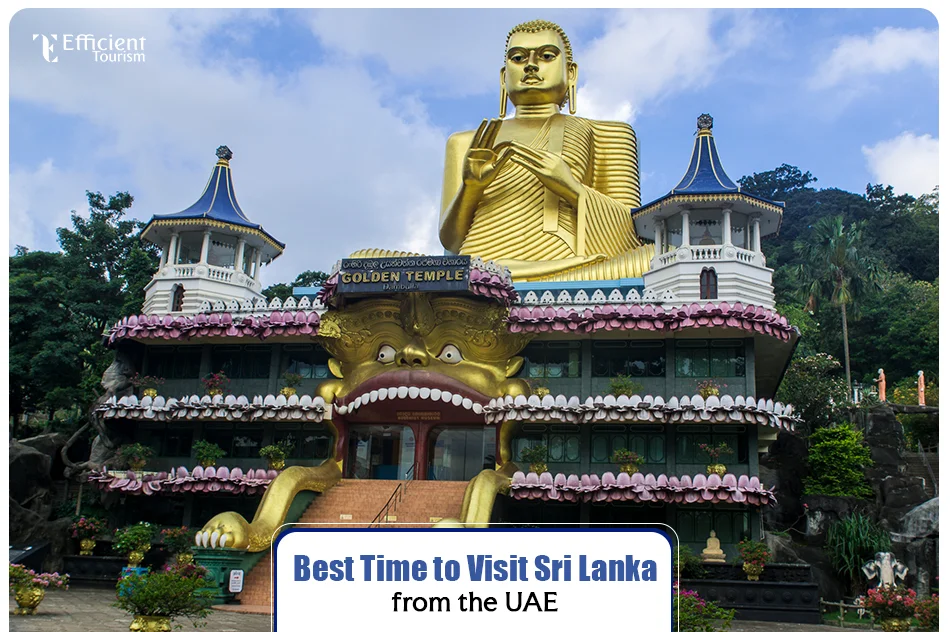 Best Time to Visit Sri Lanka from the UAE