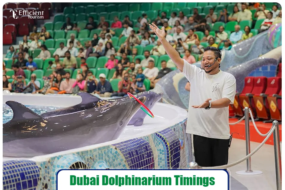 Dubai Dolphinarium Timings