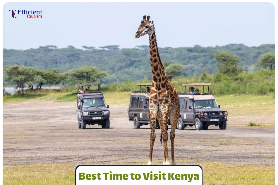 Best Time to Visit Kenya