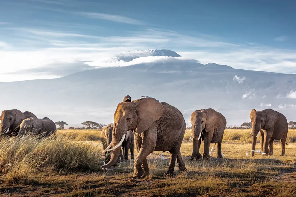 4 Nights Kenya Tour Package