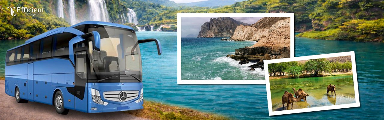 Salalah By Bus Tour
