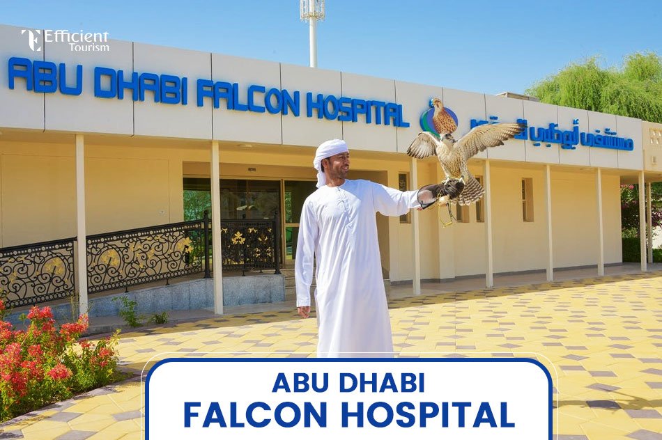 Abu Dhabi Falcon Hospital