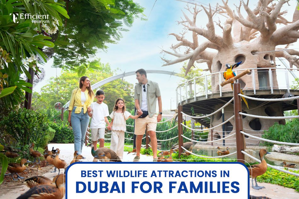 Best Wildlife Attractions in Dubai for Families