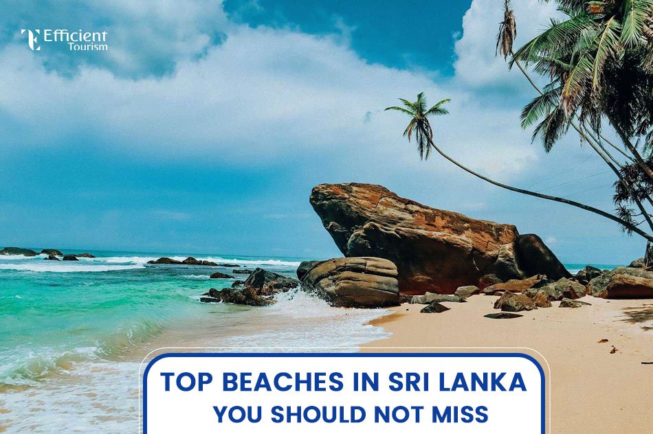Top Beaches in Sri Lanka You Should Not Miss