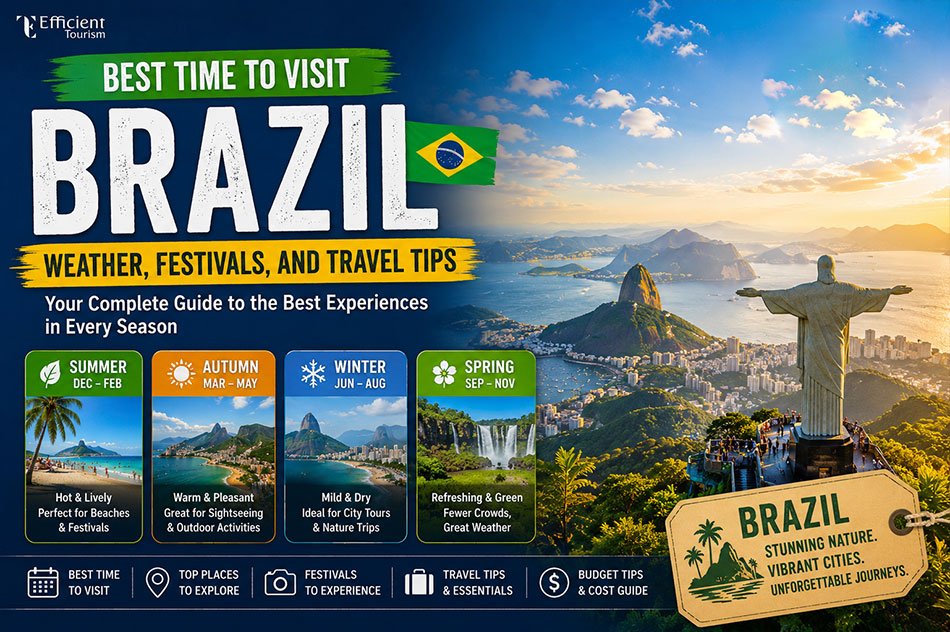 Best Time to Visit Brazil: Weather, Festivals, and Travel Tips